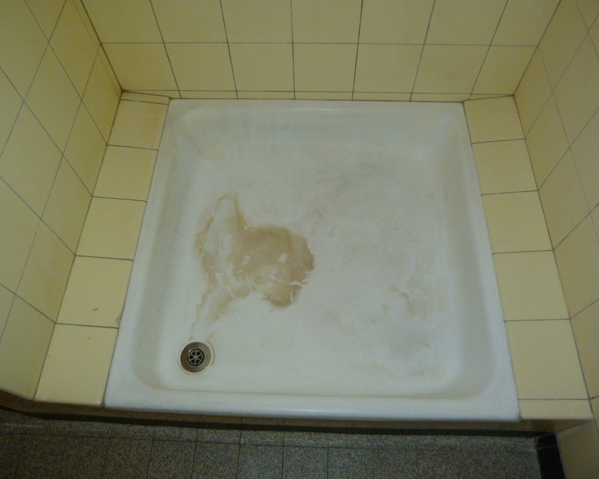 P1000015(1)